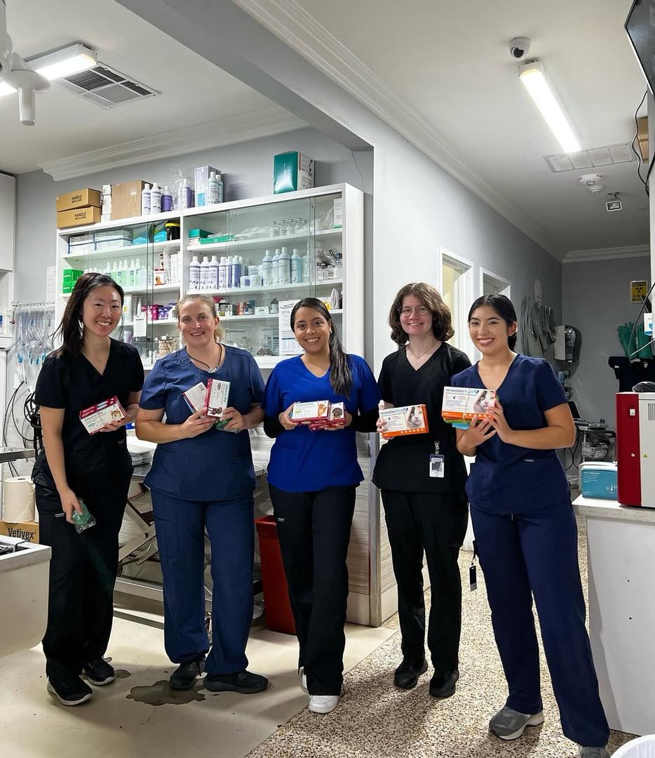 whatsapp image 2025 09 20 at 14.08.40 3c12038f