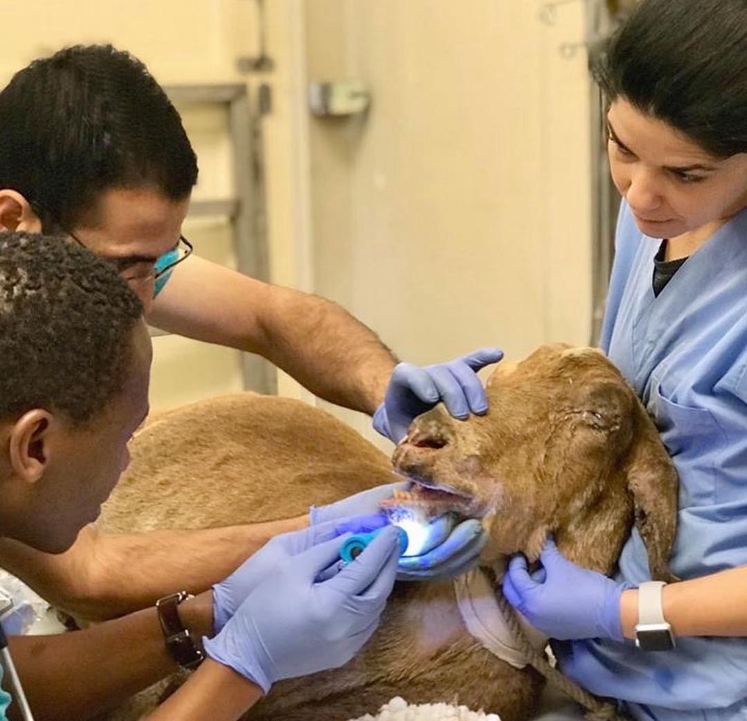 whatsapp image 2025 09 20 at 14.13.59 38891f55