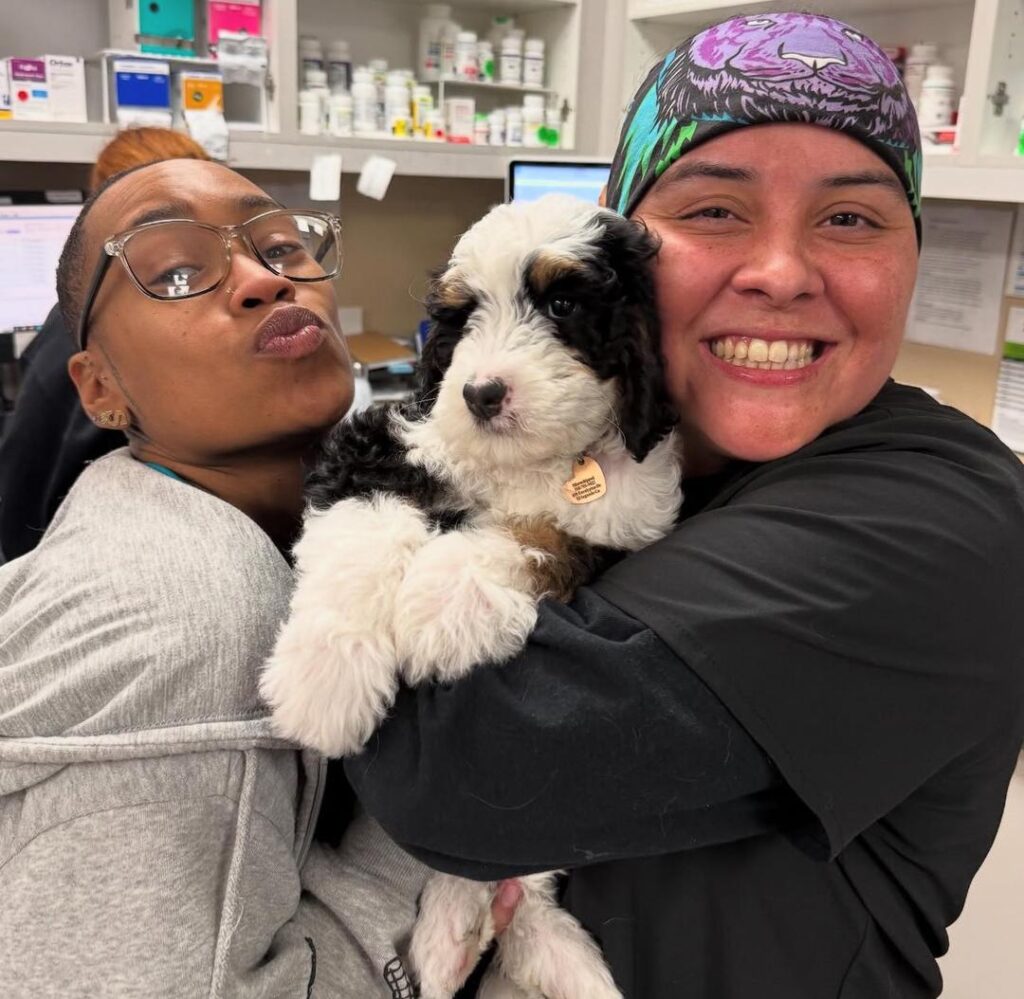 whatsapp image 2025 09 20 at 14.14.00 925bf836