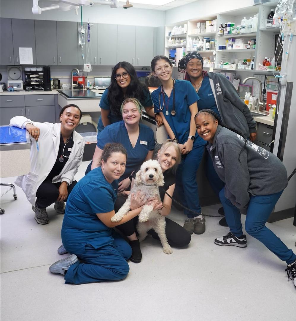 whatsapp image 2025 09 20 at 14.14.00 d5c0ccb7