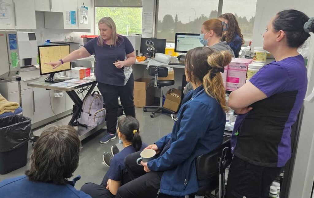 whatsapp image 2025 09 20 at 14.14.01 6c2b596b